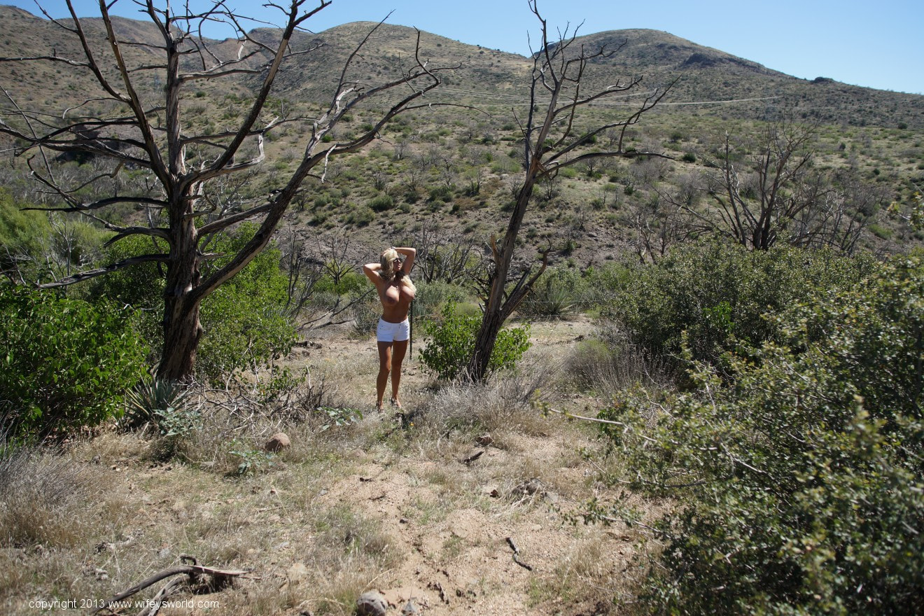Desert Feeding