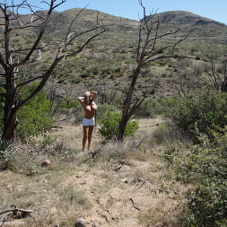 Desert Feeding