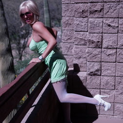 Kate's Tucson Tit Tempest