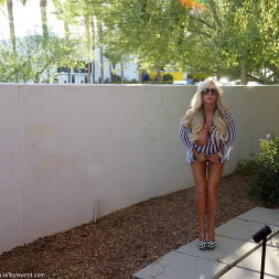 Saguaro Hooker Blast