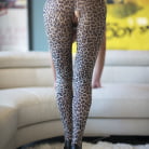 Sandra Otterson in 'The Leopard Lady'