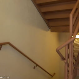 Stairwell Suck-n-Swallow